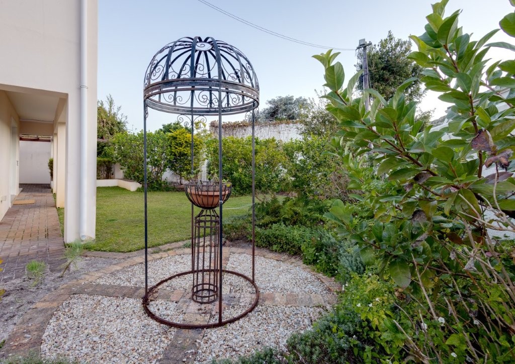 Whale-a-While thumbnail 12